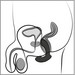 Anos - akkus, anatómiai prosztata vibrátor (fekete) kép